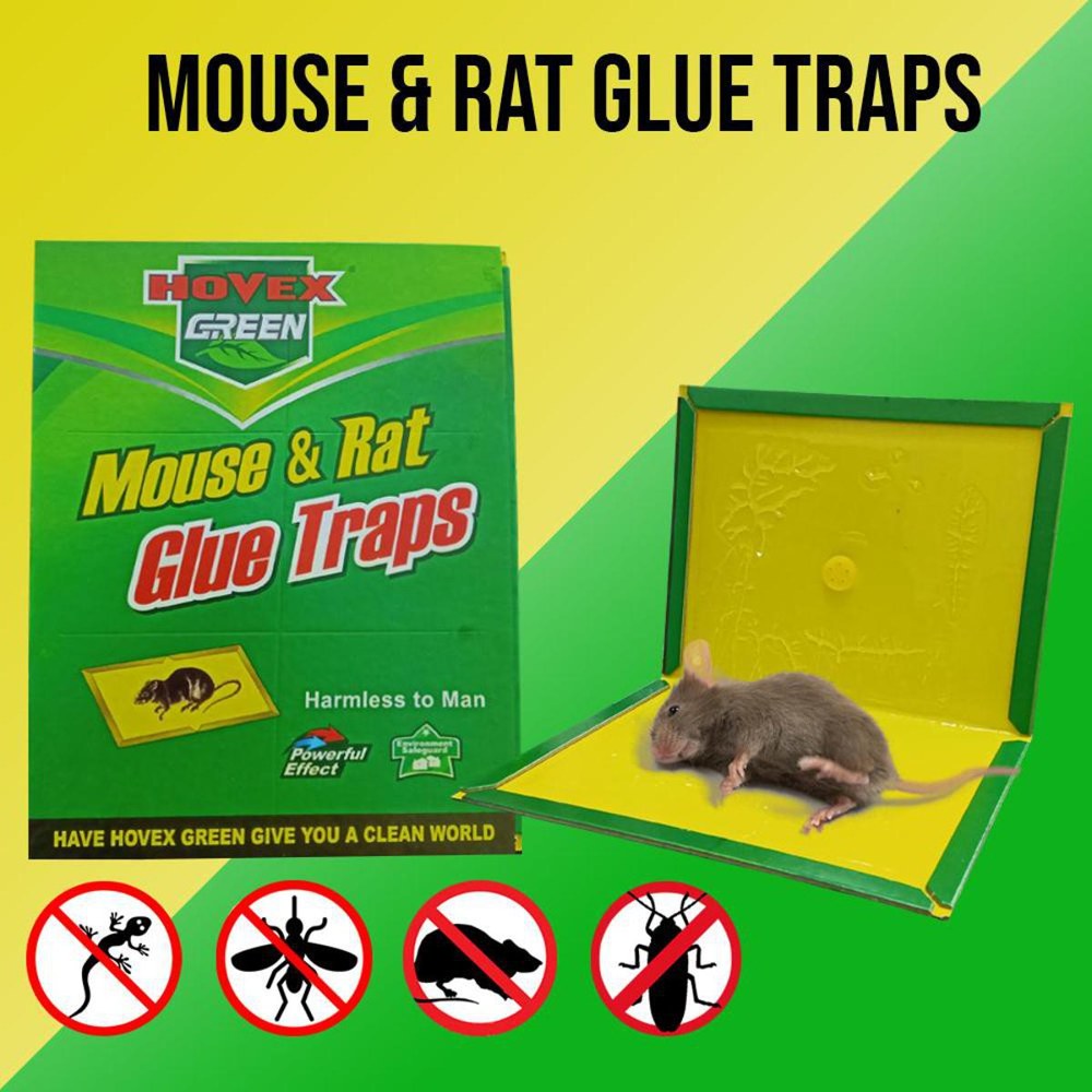 Attack Mouse And Rat Glue Traps Pack